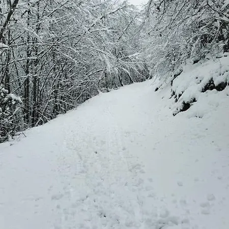 La Cabane Cachee, Entre Lacs Et Montagnes, Vakantiehuis La Biolle